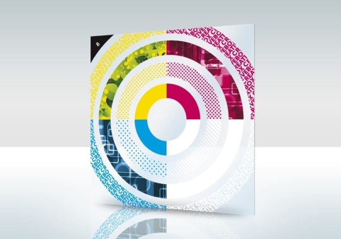 1000ex Carte PET 175 microns Transparent Quadri + Blanc